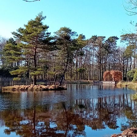B&B Stripsein Wijnjewoude Eksteriør bilde